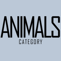 files/ANIMALS-CAT.png