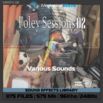 Foley Session 02